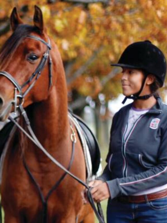 Master the Art of Equine Science Degree: Top Universities and Programs Unveiled!